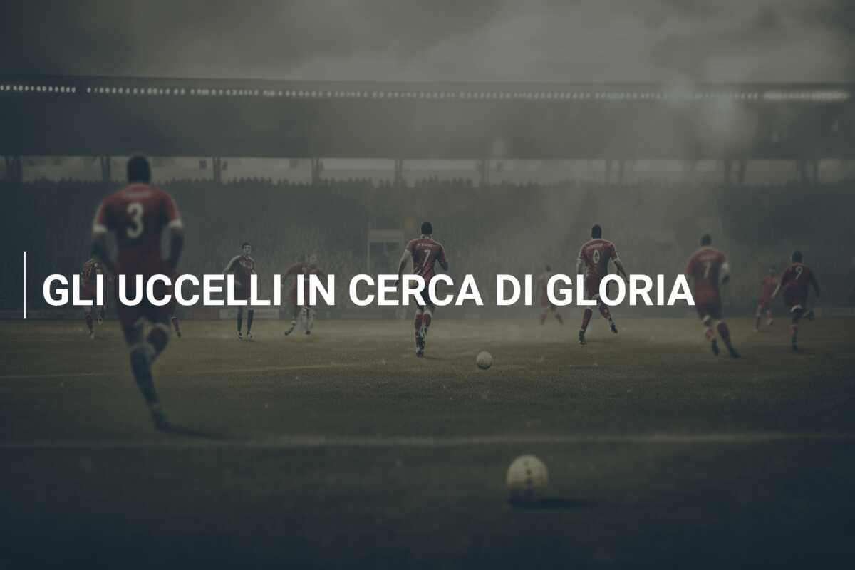 GLI UCCELLI IN CERCA DI GLORIA