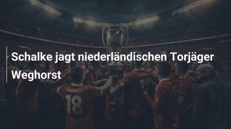 Schalke jagt niederländischen Torjäger Weghorst