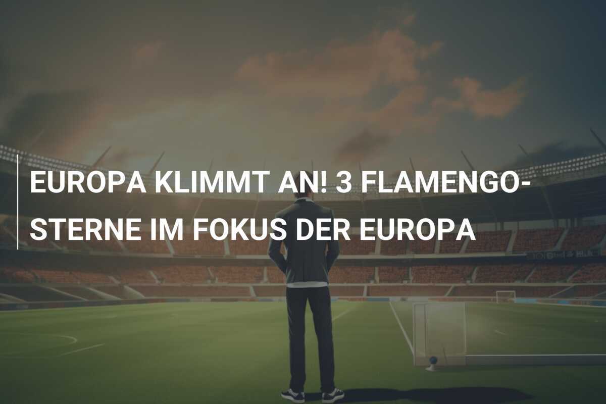 EUROPA KLIMMT AN! 3 FLAMENGO-STERNE IM FOKUS DER EUROPA