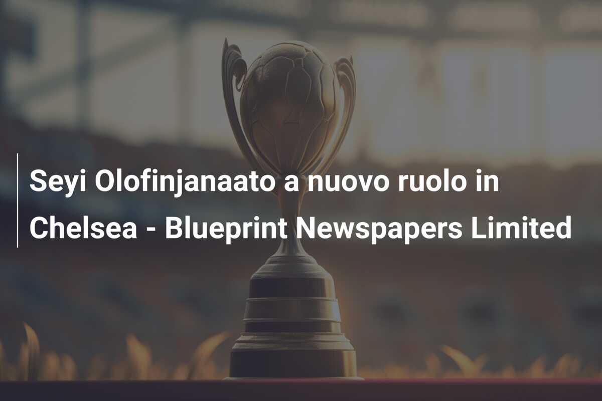 Seyi Olofinjanaato a nuovo ruolo in Chelsea – Blueprint Newspapers Limited