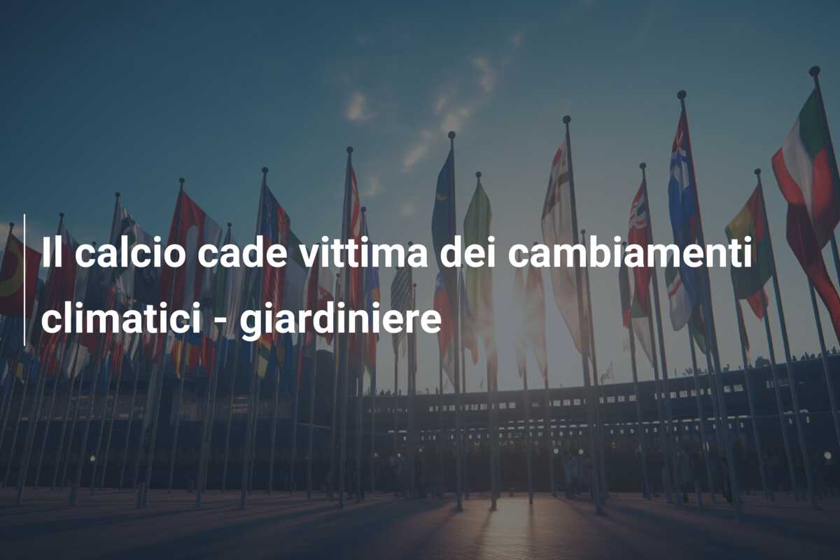 Il calcio cade vittima dei cambiamenti climatici – giardiniere