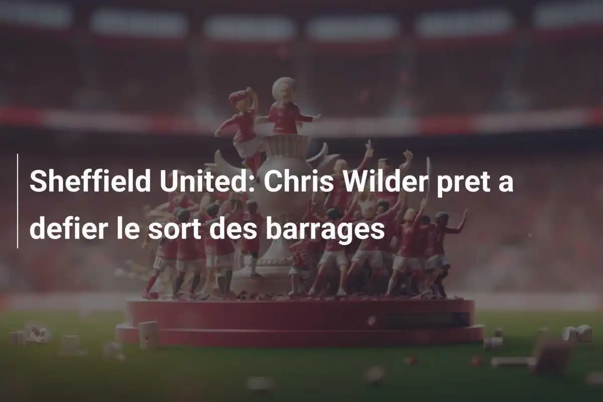 Sheffield United: Chris Wilder pret a defier le sort des barrages