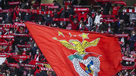 Benfica Schiaccia Moreirense con la Tripletta di Pavlidis