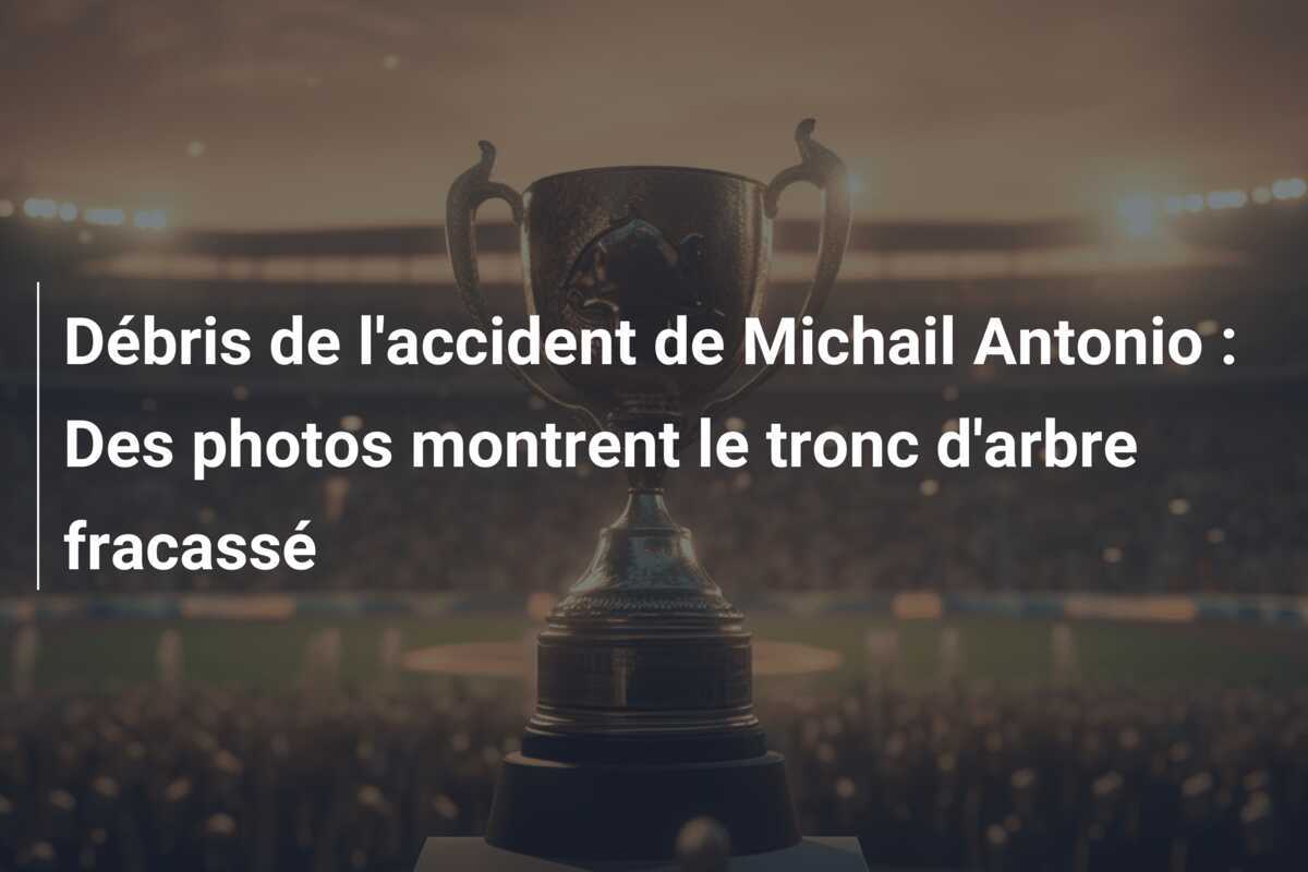 Débris de l'accident de Michail Antonio : Des photos montrent le tronc d'arbre fracassé