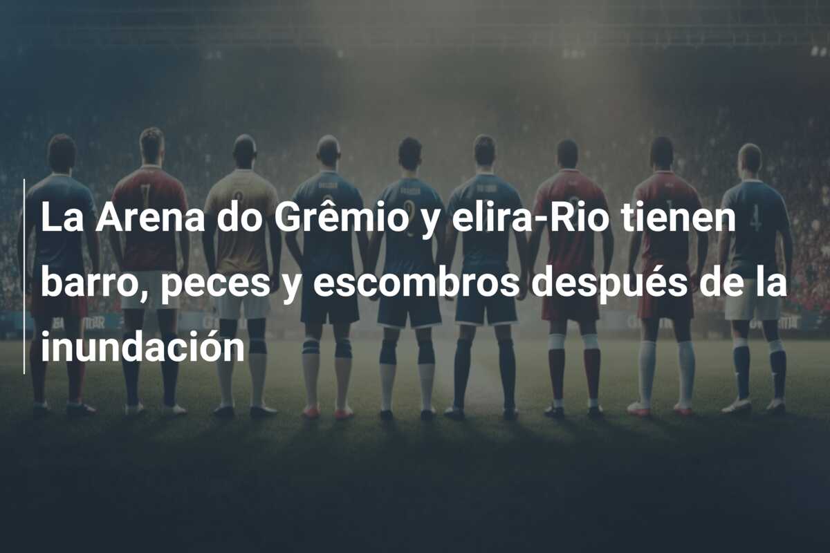 La Arena do Grêmio y elira-Rio tienen barro, peces y escombros después de la inundación