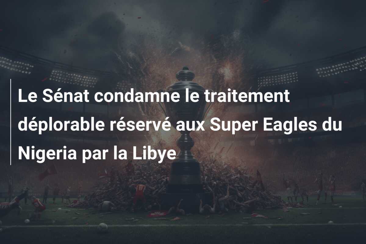 Le Sénat condamne le traitement déplorable réservé aux Super Eagles du Nigeria par la Libye