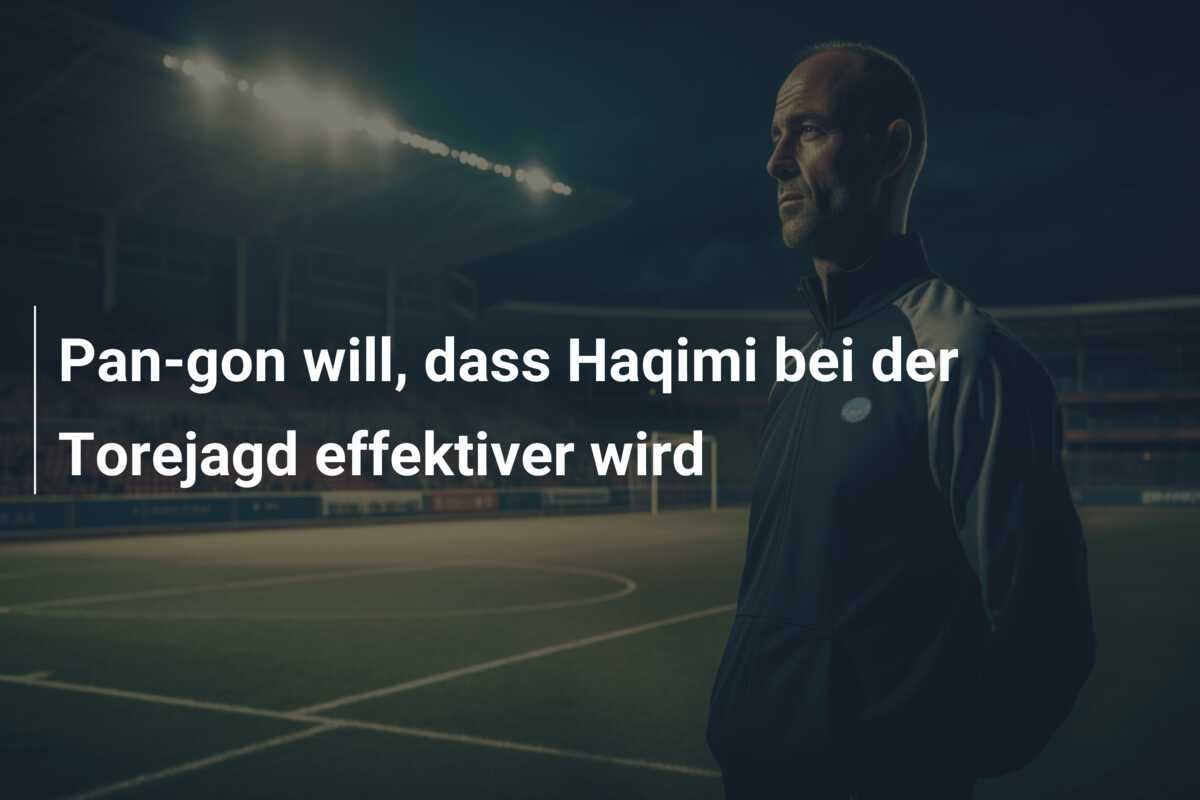 Pan-gon will, dass Haqimi bei der Torejagd effektiver wird