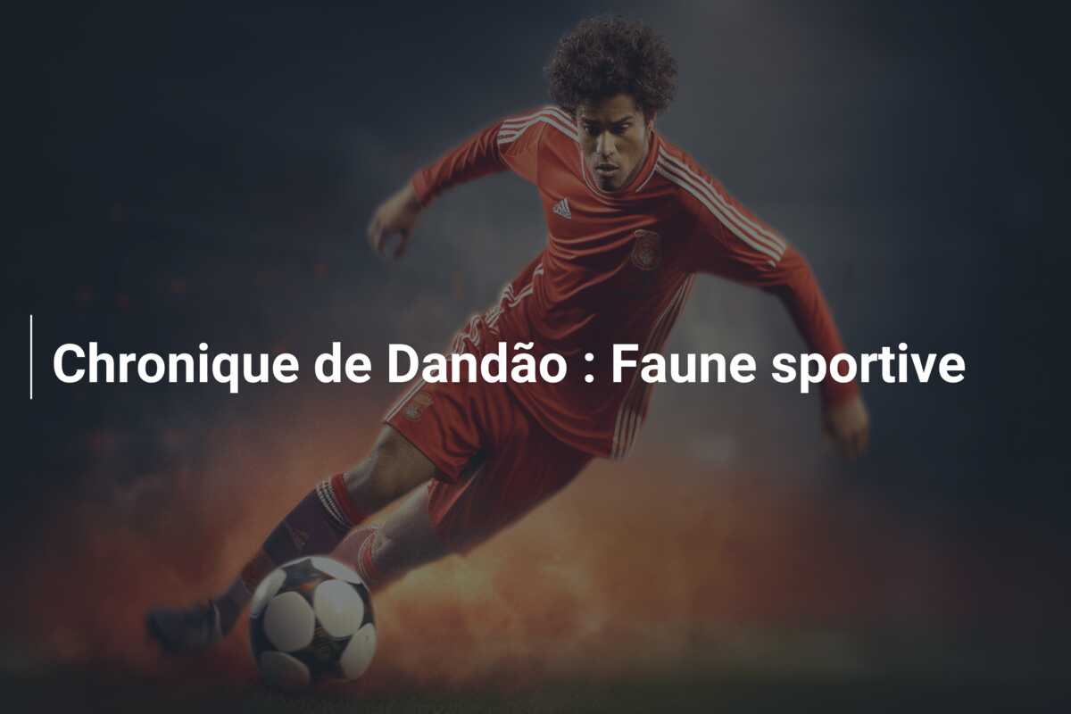 Chronique de Dandão : Faune sportive
