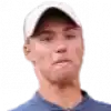Oleksii Krutykh