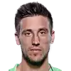 Damir Dzumhur