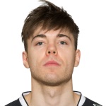 Соренсен Нергаард П.