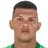 De Carvalho Silva L.