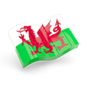 Кэри Шарлотта