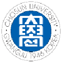 Университет Чосун