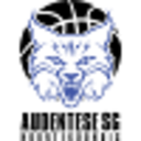 Аудентес СГ-Ноортекоондис