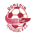 Данидин Техникал