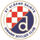 Сент-Олбанс Саинтс