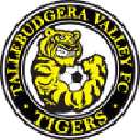 Тэлли Вэлли Йелоу