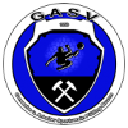 ГАСВ Полфинг-Брунн