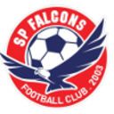 СП Фалконс (16)