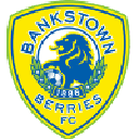 Бэнкстаун Берриз (20)