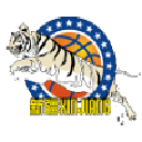 Синьцзян Флаинг Тайгерс (21)