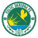 Селтик Шатура