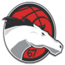 Лестер Райдерс (жен)