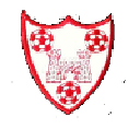 Уэксфорд Бохс