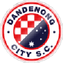 Данденонг Сити (20)