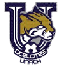 Оцелотес де ла УНАЧ