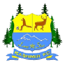 Лонестар Кашмир