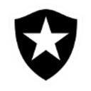 Ботафого (19)