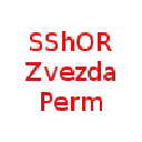 СШОР Звезда Пермь (17)