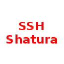 СШ Шатура