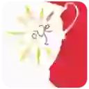 Кубок Бельгии