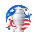 Кубок Америки