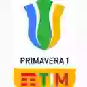 Чемпионат Примавера