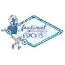 Турнир Мориса Ревелло