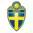 2-ой Дивизион, Södra Svealand
