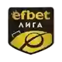 Чемпионат Болгарии