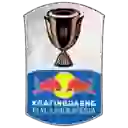 Indonesian Cup