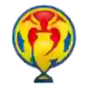 Кубок Румынии