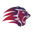 Премьер-лига