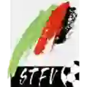 Steiermark, Landesliga