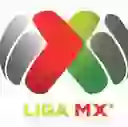 Лига MX , Апертура
