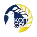 2-ой Дивизион