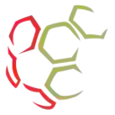 Кубок  ЦМФС