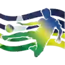 Чемпионат Рондоньенсе