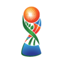 U17 Кубок Мира
